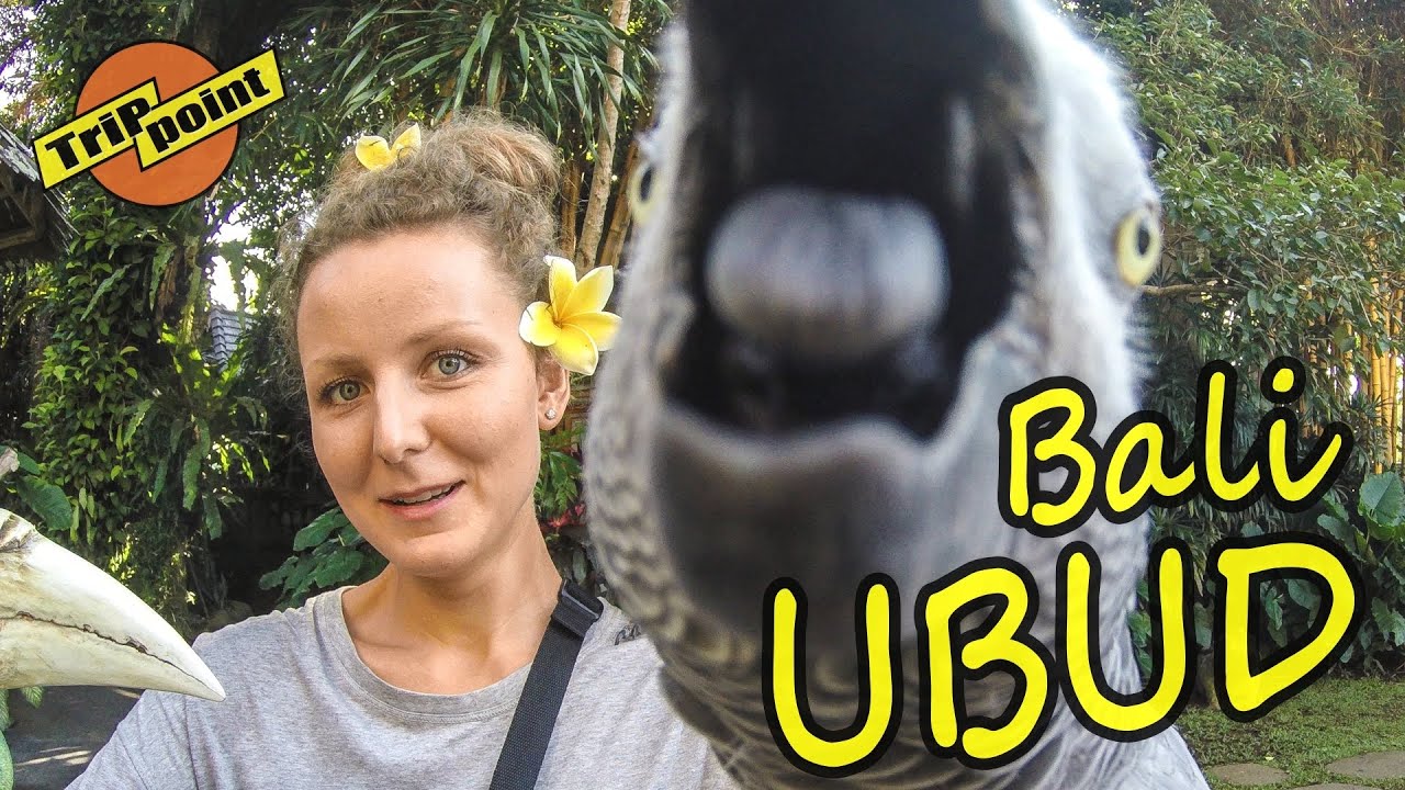 АРХИВ. БАЛИ. УБУД. Черный пляж. ВЛОГ смотреть онлайн