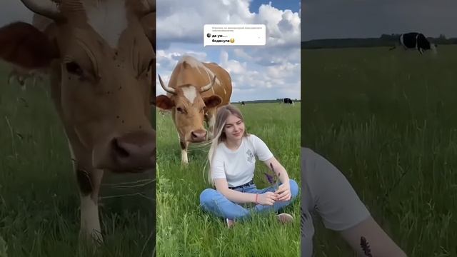 Было и такое #деревня #огород #дача #коровы #хозяйство #еда #природа #сад #кулинария #село #шок смотреть онлайн