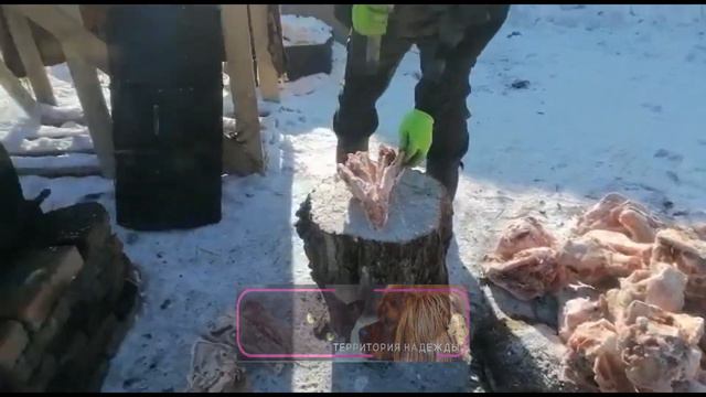Кухня приюта кот и пёс. смотреть онлайн