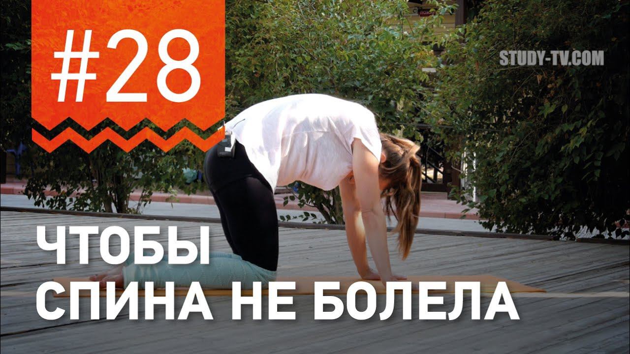 №28. Упражнение ЧТОБЫ НЕ БОЛЕЛА СПИНА от чемпионки мира по фитнесу Марии Попретинской. смотреть онлайн