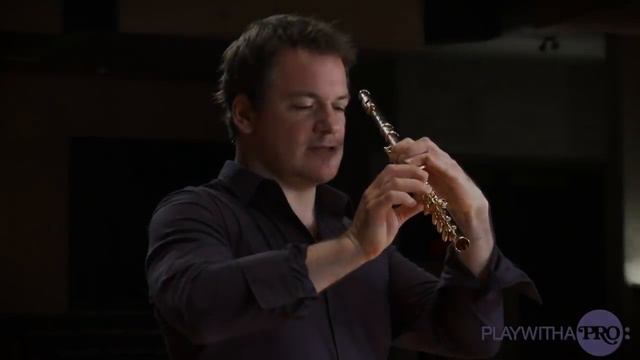 Flute Lessons, Emmanuel Pahud, Flute Fundamentals,
