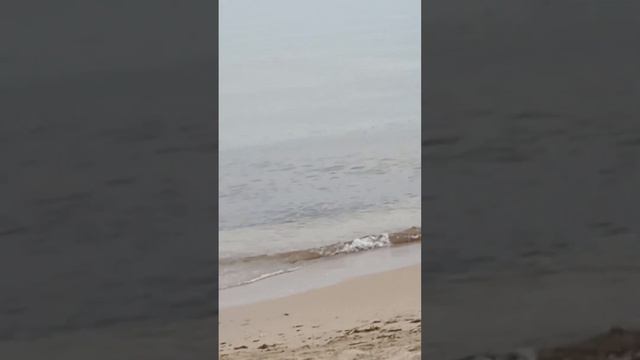 Я 🙋вас мои любимые подписчики приглашаю отдохнуть в этом санатории Приморье Крым🤗🤗🤗🤗🤗🤗🤗 смотреть онлайн