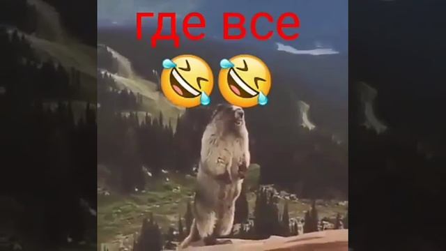 Как бобер зовёт всех к себе смотреть онлайн