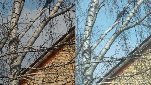 Canon 7D Vs Canon HV30.