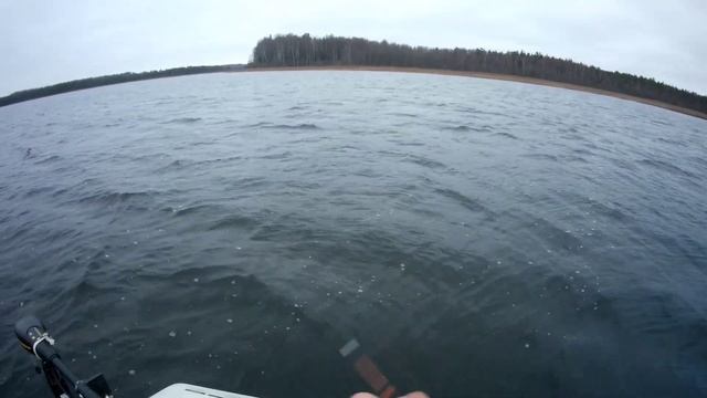 Твичинг в ноябре. смотреть онлайн