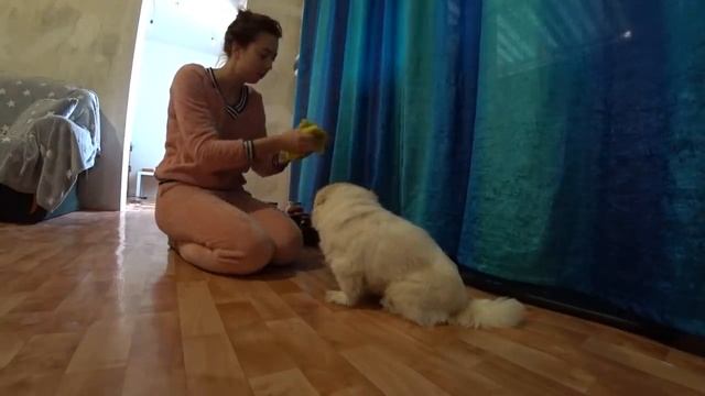 ВЛОГ: Наконец-то она пришла / Что по поводу ванной комнаты / Будни в деревне смотреть онлайн