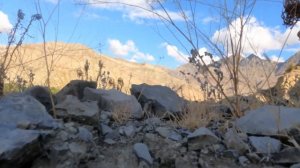 Горное село Чирката. Как живут люди в горах? Обзорная экскурсия.