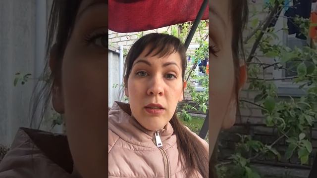 Гашкова Анна. Что такое Мастер-Кит? смотреть онлайн