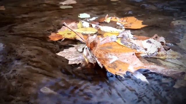 Понизить уровень холестерина смотреть онлайн