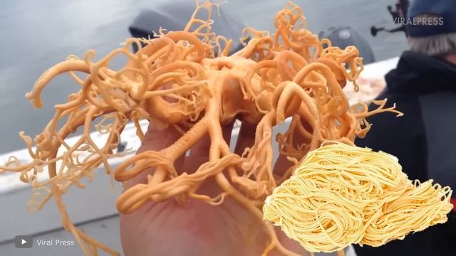 Рыбаки Испугались, Когда Выловили это Существо смотреть онлайн