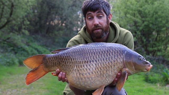 CARP FISHING ~ Reading your swim, tips and watercraft (fish more effectively) смотреть онлайн