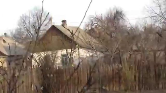 Обпилял старую черешню. Электро пила смотреть онлайн