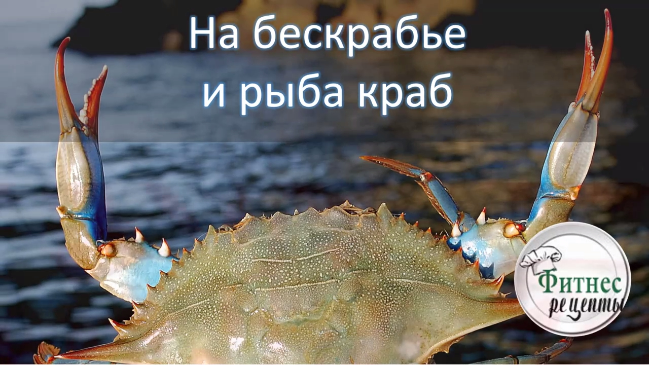 В крабовых палочках краба быть не должно смотреть онлайн