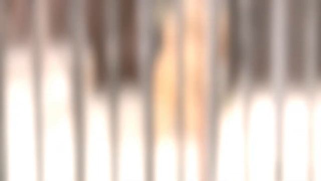 Вторая жизнь живой ёлки: что делать с новогодним деревом? смотреть онлайн