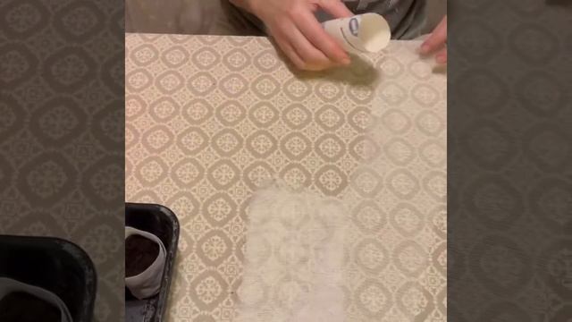 Стаканчики для рассады, просто и быстро#рассада #дача #урожай #огород смотреть онлайн