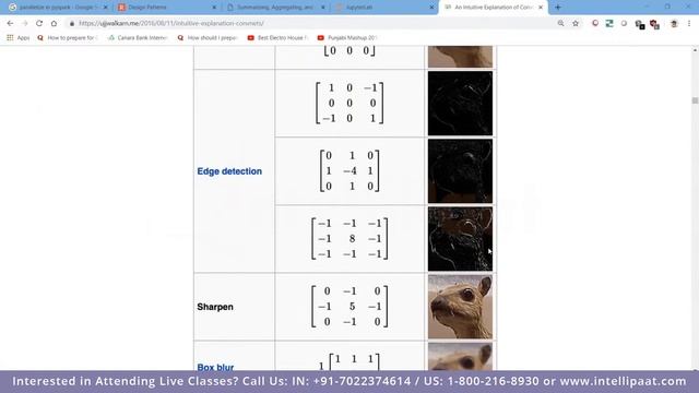 Introduction to Computer Vision | Computer Vision Course | Computer Vision Tutorial | Intellipaat смотреть онлайн