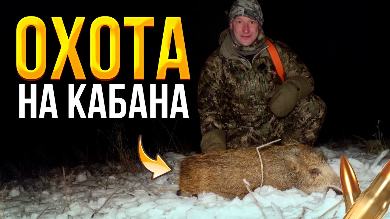 ОХОТА на КАБАНА ноябрь'22 ? Розыгрыш тушенки/ Выстрел с тепловизора/ Зимняя охота на кабана с вышк смотреть онлайн