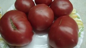 ТОМАТ РОЗОВЫЙ ГИГАНТ - СОРТ ДЛЯ ТЕПЛИЦ. Видео Ольги Черновой.