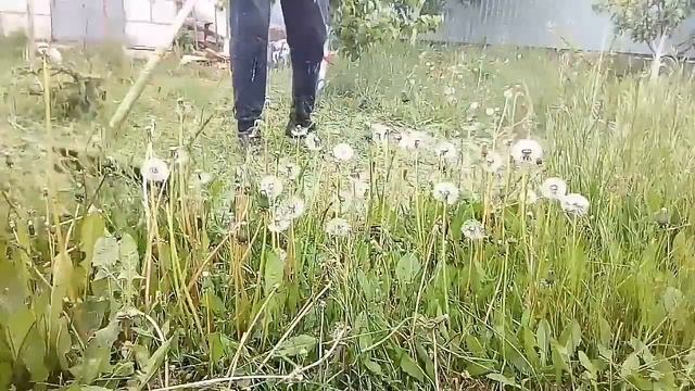 ПОКОС ТРАВЫ ТРИММЕРОМ HUTER GGT-1500T. (Леской)