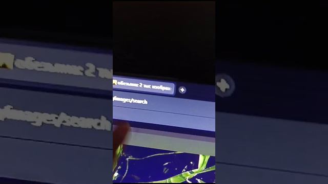 VID-20240502-WA0022.mp4