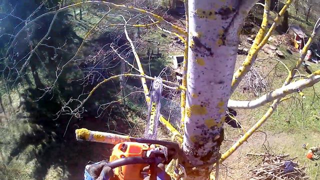 Спил деревьев на дачном участке рядом с баней смотреть онлайн