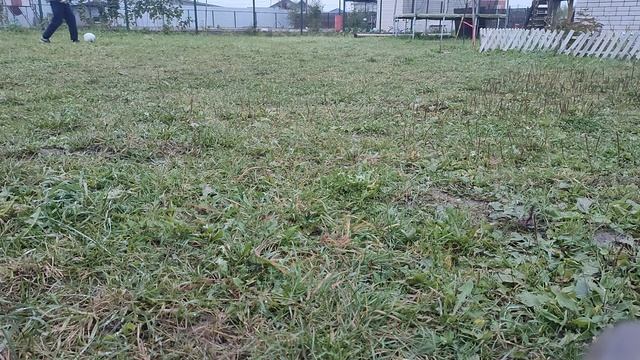 VID20220929065446.mp4 смотреть онлайн