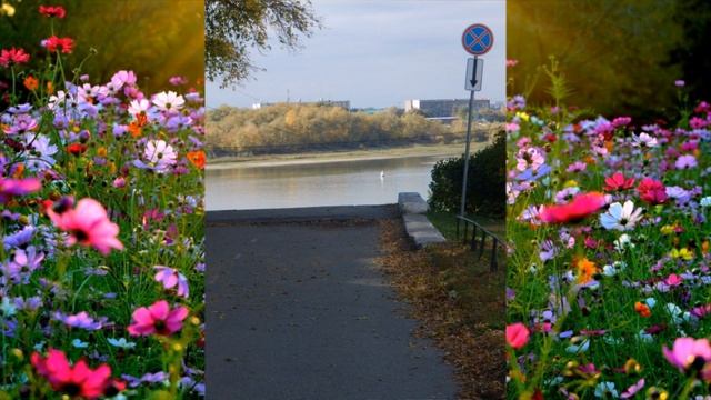 Нереально красивый город Омск смотреть онлайн