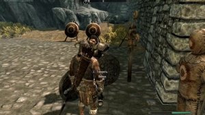 Skyrim.Как вступить в ряды Соратников.