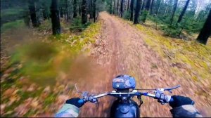 МИНСК 125 ПОКАТУШКИ | ЛЮТЫЙ НАВАЛ ПО ЛЕСУ ЗАКОНЧИЛСЯ ПЕЧАЛЬНО, НЕПРИЯТНОЕ ПАДЕНИЕ !!!