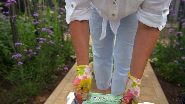 Посадка растений в контейнеры. Высаживаем гелихризум в грунт. смотреть онлайн