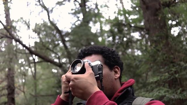 Minolta X300 TEST ROLL // KODAK GOLD 200