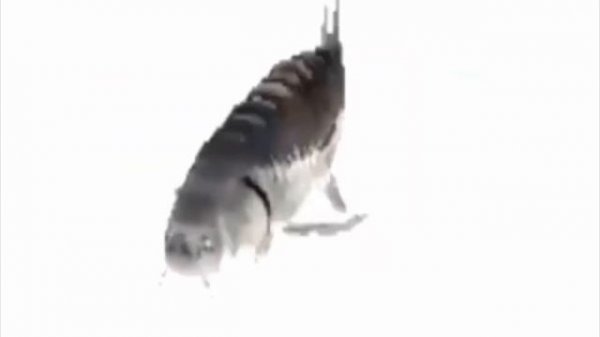 funky town low quality