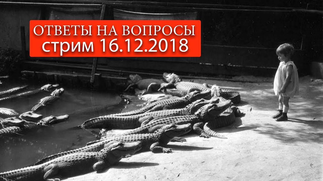 Воскресные допросы 16.12.18