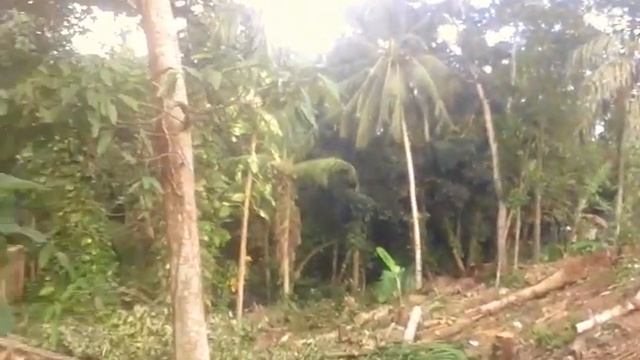 Строительство Бунгало_Хикка_Шри-Ланка_ТанюшкаКурчи смотреть онлайн
