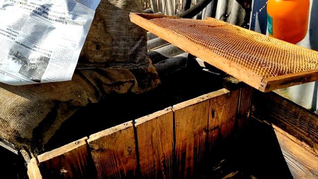 РАСШИРЯЕМ ГНЕЗДА ПЧЁЛ! Погода радует || Влог #40 смотреть онлайн