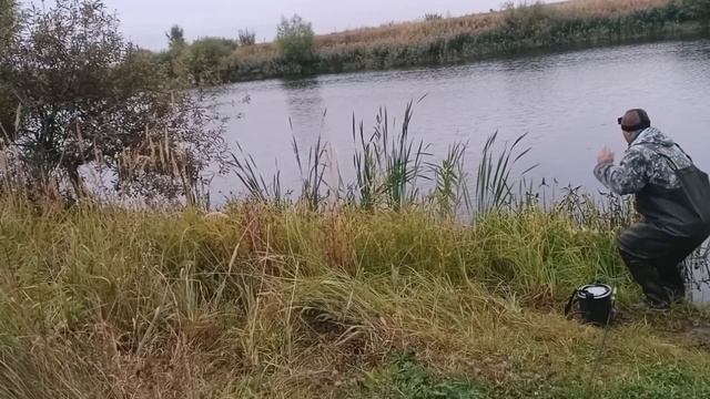 ЩУКА НА ЖИВЦА. ЛОВЛЯ ЩУКИ НА ПОПЛАВОК ОСЕНЬЮ. смотреть онлайн