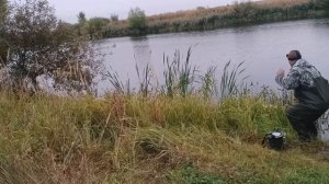 ЩУКА НА ЖИВЦА. ЛОВЛЯ ЩУКИ НА ПОПЛАВОК ОСЕНЬЮ.