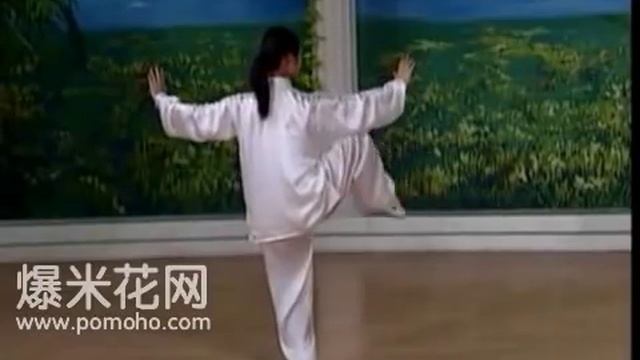 8-form Tai Chi Demo (Back) смотреть онлайн