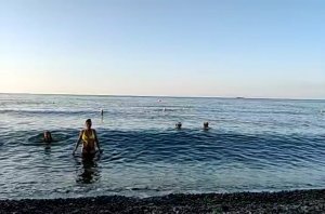 Ялта ??? Купание в море ?♀️?♀️?♀️???