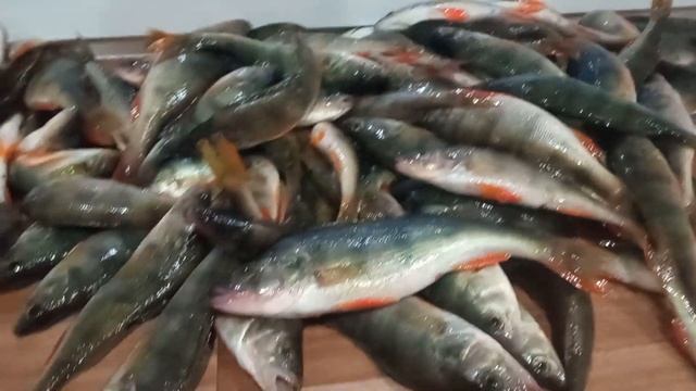 наловил окунямб смотреть онлайн