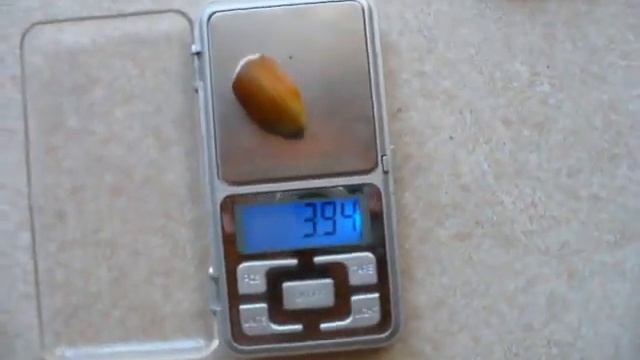 фундук ТРУШЕССА собираем УРОЖАЙ на 3 год. смотреть онлайн