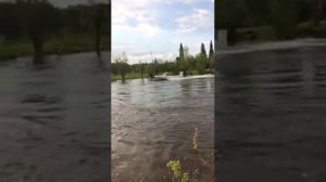 Катер Амур-В