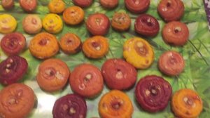 Готовим гладиолусы к посадке. Замочите в этом растворе для бурного цветения.