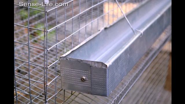 Простейший способ сделать многоярусную клетку для перепелов. How to make a cage for quail смотреть онлайн