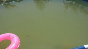 Как очистить воду в бассейне от железа без химии быстро и недорого