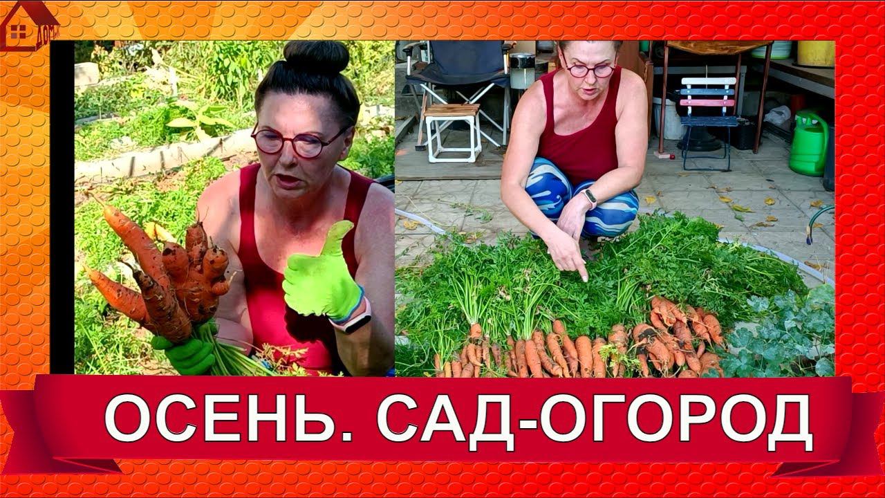 Во саду ли, в огороде/ 25.09.2023/ОСЕНЬ/ Убираю огород, Autumn work in the garden смотреть онлайн