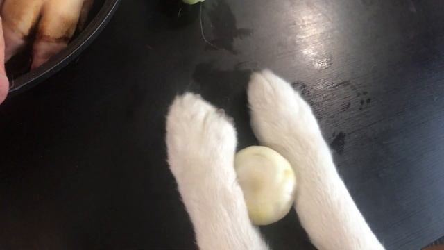 СВИНАЯ ГОЛОВА/ СТРАШНЫЙ СОН ДЛЯ ВЕГАНА смотреть онлайн