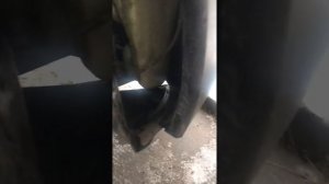 Пежо Партнёр 2008г. замёрз бачок омывателя