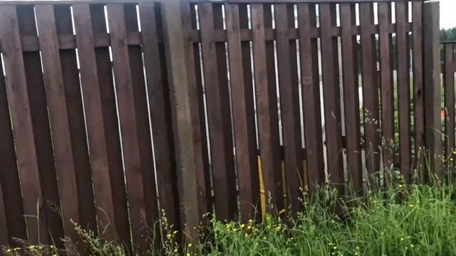 Реставрационные шедевры