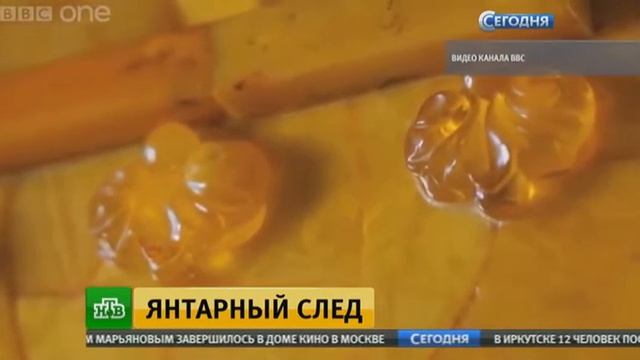 Новая версия местонахождения Янтарной комнаты не убедила история смотреть онлайн